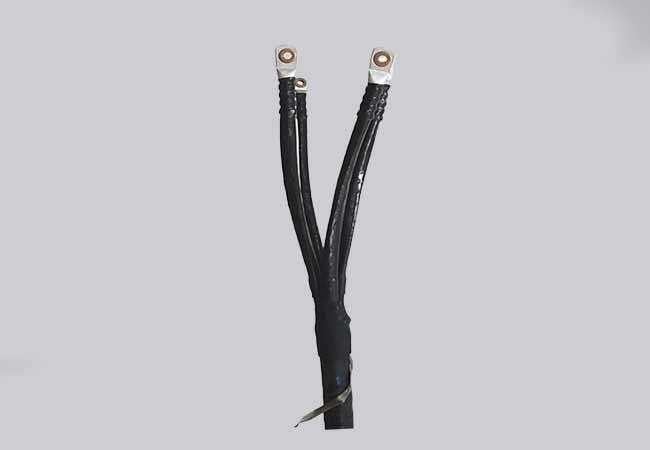 أطراف ذات جهد منخفض